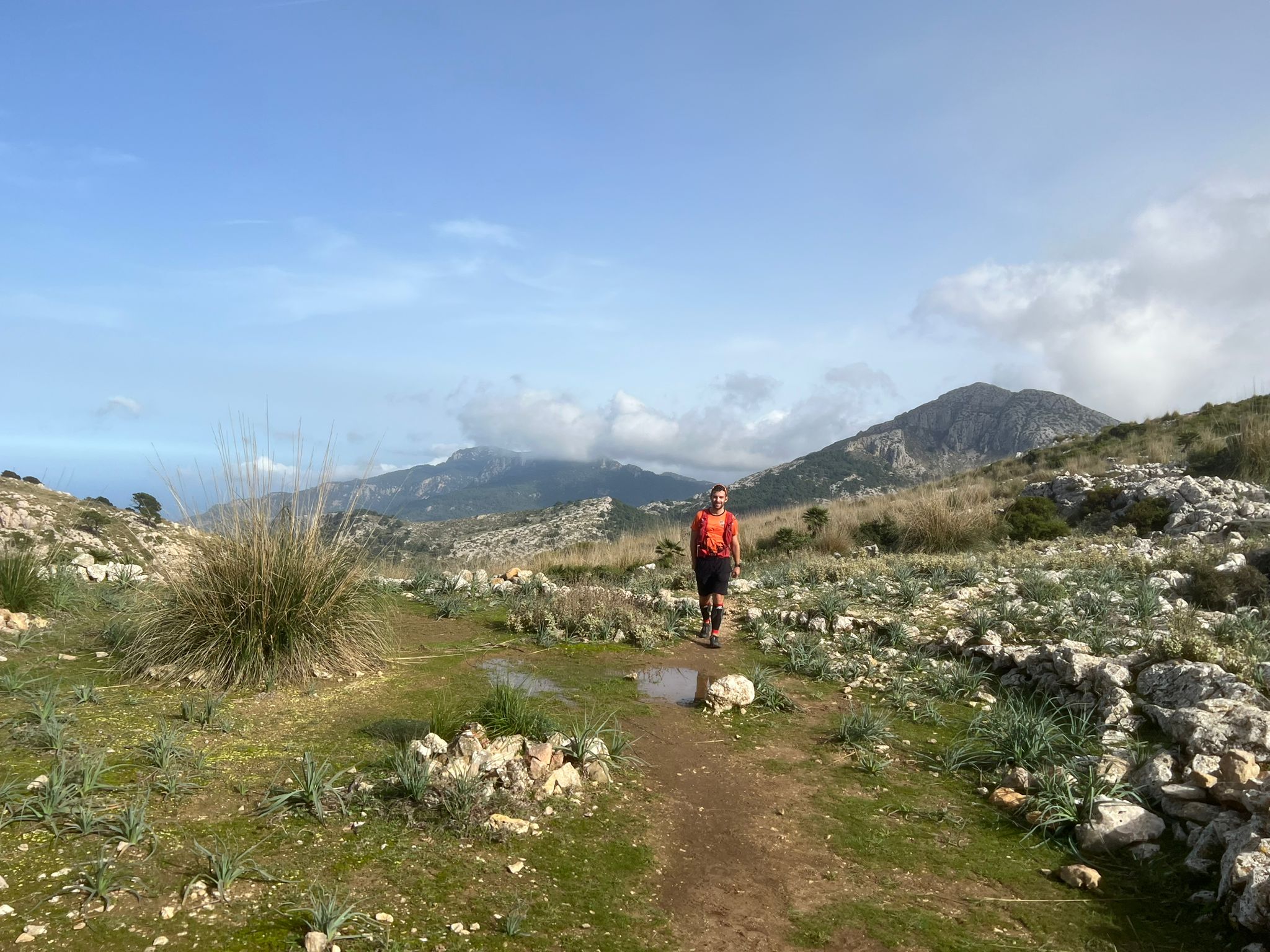 Auber Son Amer au petit matin